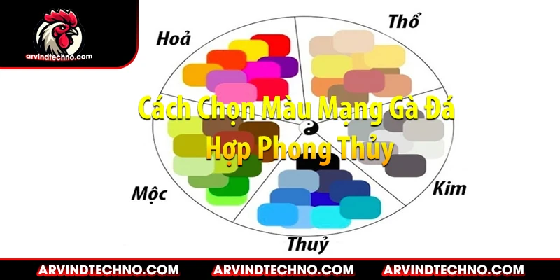 Cách Chọn Màu Mạng Gà Đá Hợp Phong Thủy