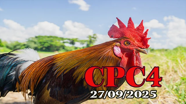 Video clip phát lại đá gà Campuchia c4 ngày 27/09/2025