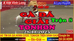 Gà Đá Giải TONHON Trận 8: A. Việt Vĩnh Long vs A. Lưu Huỳnh 3.2kg