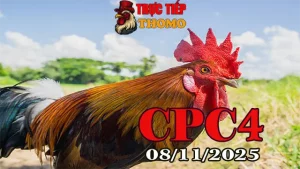 Xem Lại Trực Tiếp Full Clip Đá Gà CPC 4 Thomo 08/11/2025 Full HD