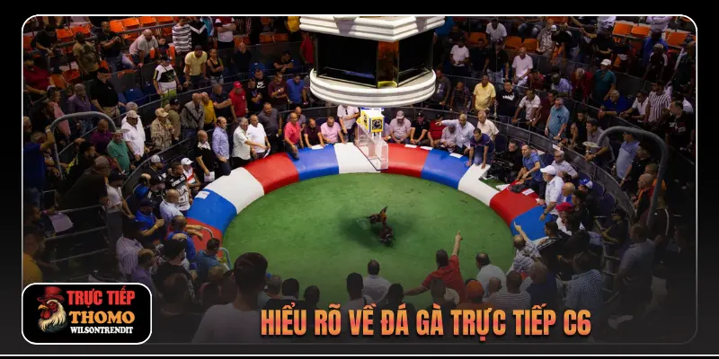 Hiểu rõ về đá gà trực tiếp c6