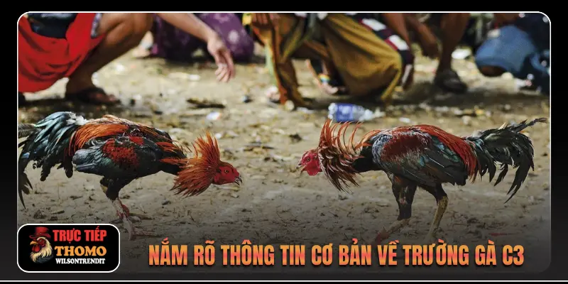 Nắm rõ thông tin cơ bản về trường gà C3