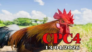Xem đá gà trực tiếp CPC4 ngày 13042026